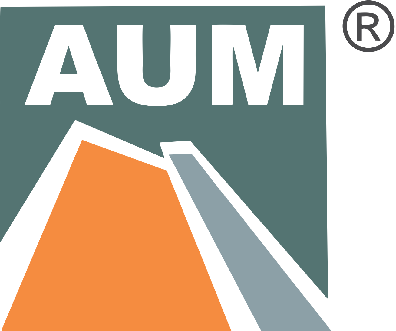 Aum Group Logo